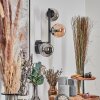 Chehalis globe light, wall light 23 cm Amber, Smoke-coloured, 3-light sources