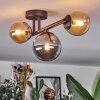 Chehalis ceiling light, globe light 23 cm Amber, Smoke-coloured, 3-light sources