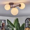 Chehalis ceiling light, globe light white, 3-light sources