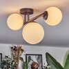 Chehalis ceiling light, globe light white, 3-light sources