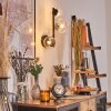 Chehalis globe light, wall light 23 cm clear, 3-light sources