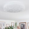 Dacen ceiling light LED white, 1-light source, Remote control