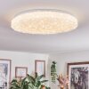 Dacen ceiling light LED white, 1-light source, Remote control