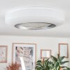 Dayen ceiling light LED silver, white, 1-light source, Remote control