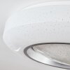 Dayen ceiling light LED silver, white, 1-light source, Remote control