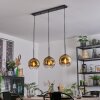 Ripoll hanging light, globe light, pendant light gold, clear, 3-light sources