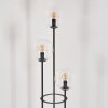 Gastor floor lamp 30 cm black, 3-light sources