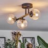 Chehalis ceiling light, globe light clear, 3-light sources