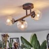 Chehalis ceiling light, globe light clear, 3-light sources