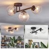 Chehalis ceiling light, globe light clear, 3-light sources