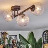 Chehalis ceiling light, globe light clear, 3-light sources