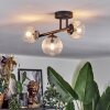Chehalis ceiling light, globe light clear, 3-light sources