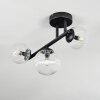 Chehalis ceiling light, globe light clear, 3-light sources