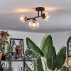 Chehalis ceiling light, globe light clear, 3-light sources