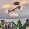 Chehalis ceiling light, globe light clear, 3-light sources