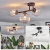 Chehalis ceiling light, globe light clear, 3-light sources