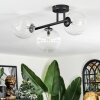 Chehalis ceiling light, globe light clear, 3-light sources