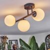 Chehalis ceiling light, globe light white, 3-light sources