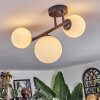 Chehalis ceiling light, globe light white, 3-light sources