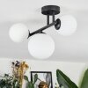 Chehalis ceiling light, globe light white, 3-light sources