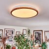 Nogueira ceiling light, Panel LED white, 1-light source, Remote control