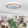 Nogueira ceiling light, Panel LED white, 1-light source, Remote control