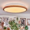 Nogueira ceiling light, Panel LED white, 1-light source, Remote control