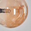 Chehalis globe light, wall light Amber, Smoke-coloured, 3-light sources