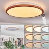 Nogueria ceiling light, Panel LED white, 1-light source, Remote control