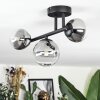 Chehalis ceiling light, globe light clear, Smoke-coloured, 3-light sources
