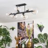 Gastor ceiling light, globe light clear, 6-light sources