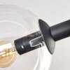 Gastor ceiling light, globe light Amber, clear, Smoke-coloured, 6-light sources