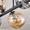 Gastor ceiling light, globe light Amber, clear, Smoke-coloured, 6-light sources