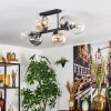 Gastor ceiling light, globe light Amber, clear, Smoke-coloured, 6-light sources