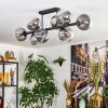 Gastor ceiling light, globe light clear, Smoke-coloured, 8-light sources