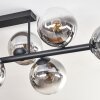 Gastor ceiling light, globe light clear, Smoke-coloured, 8-light sources