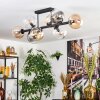 Chehalis ceiling light, globe light Amber, clear, Smoke-coloured, 8-light sources