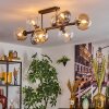 Chehalis ceiling light, globe light Amber, clear, Smoke-coloured, 8-light sources