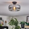 Boza ceiling light clear, Smoke-coloured, 1-light source
