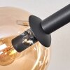 Gastor ceiling light, globe light Amber, clear, Smoke-coloured, 8-light sources