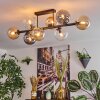Gastor ceiling light, globe light Amber, clear, Smoke-coloured, 8-light sources