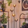 Gastor floor lamp 30 cm Dark wood, black, 4-light sources