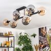 Gastor ceiling light, globe light Amber, Smoke-coloured, 10-light sources