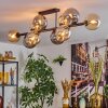 Gastor ceiling light, globe light Amber, Smoke-coloured, 10-light sources
