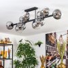 Chehalis ceiling light, globe light clear, Smoke-coloured, 10-light sources