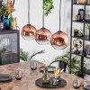 Ripoll hanging light, globe light, pendant light clear, coppery, 3-light sources
