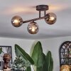 Chehalis ceiling light, globe light Smoke-coloured, 3-light sources