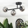 Chehalis ceiling light, globe light Smoke-coloured, 3-light sources
