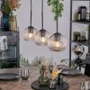 Ripoll hanging light, globe light, pendant light clear, 3-light sources