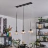 Ripoll hanging light, globe light, pendant light clear, 3-light sources